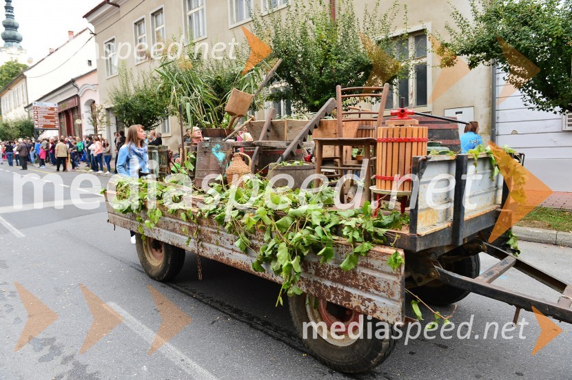 Lendavska trgatev 2015