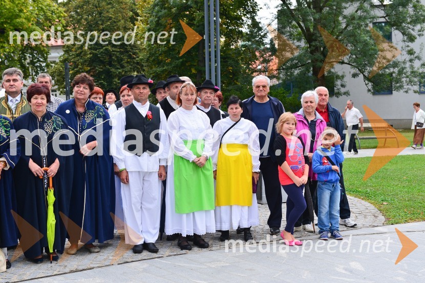 Lendavska trgatev 2015