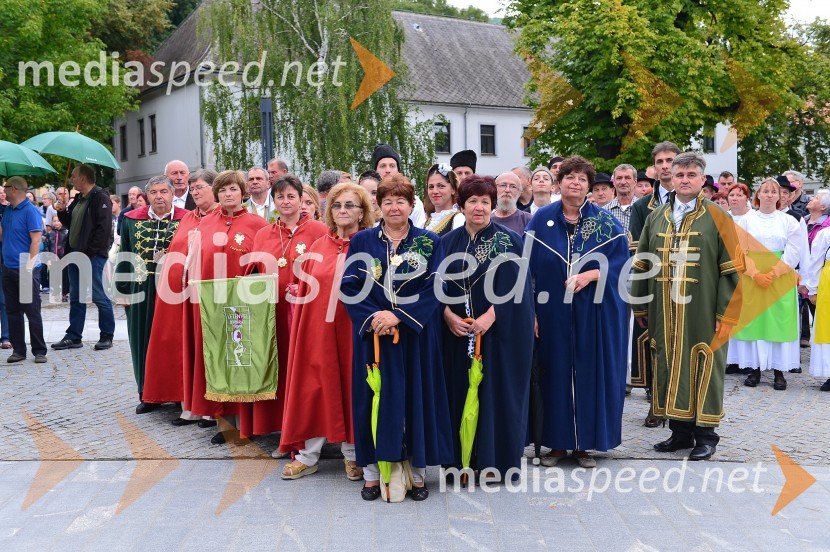 Lendavska trgatev 2015