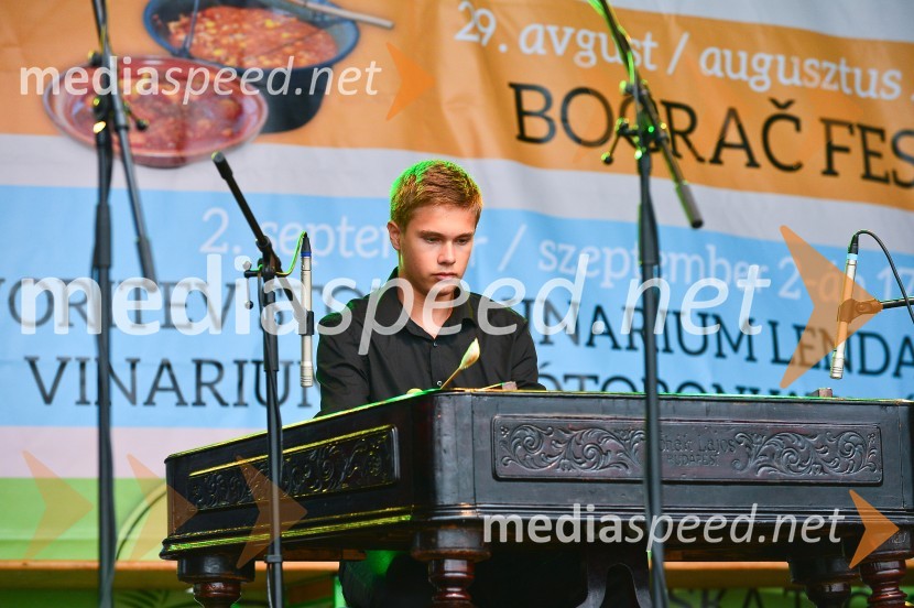 Lendavska trgatev 2015