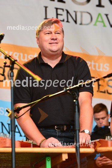 Lendavska trgatev 2015