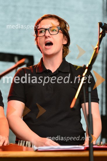 Lendavska trgatev 2015