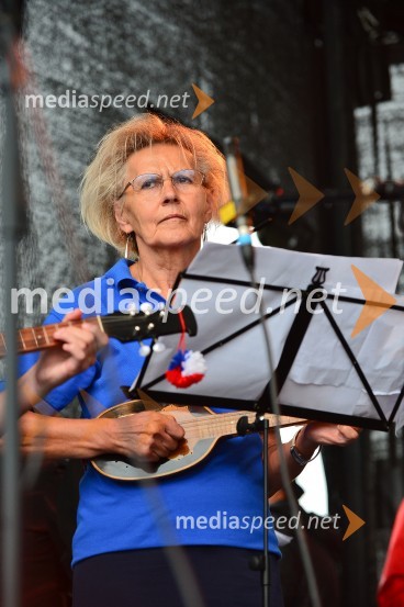 Lendavska trgatev 2015