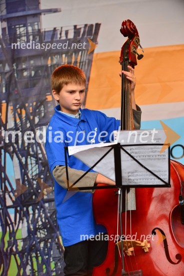 Lendavska trgatev 2015