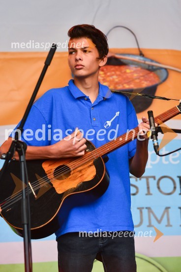 Lendavska trgatev 2015