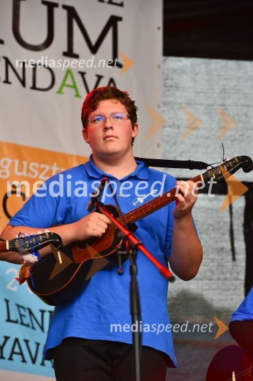 Lendavska trgatev 2015