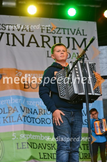 Lendavska trgatev 2015