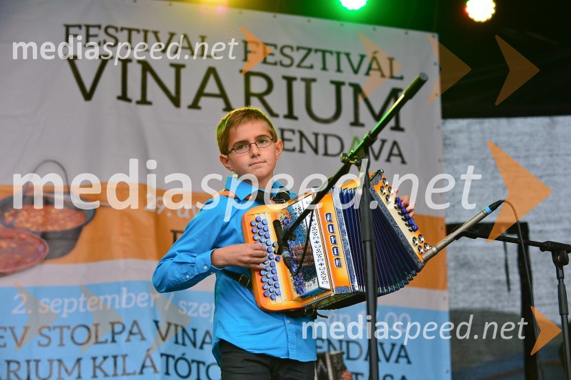 Lendavska trgatev 2015