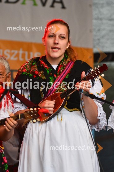 Lendavska trgatev 2015