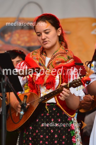 Lendavska trgatev 2015