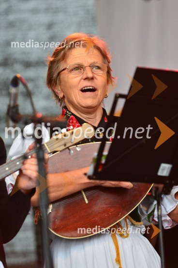 Lendavska trgatev 2015