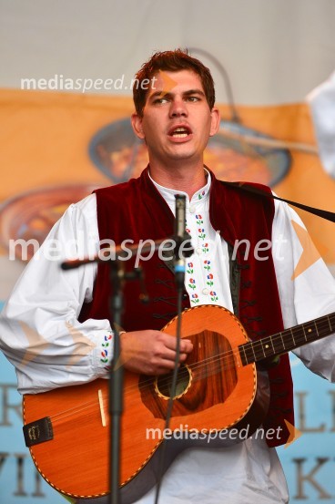 Lendavska trgatev 2015