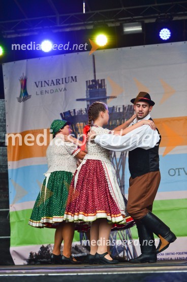 Lendavska trgatev 2015