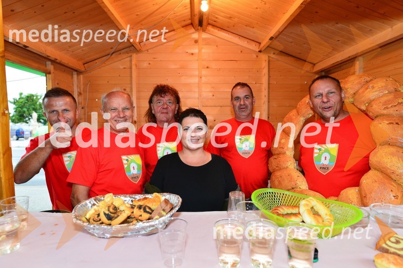 Lendavska trgatev 2015