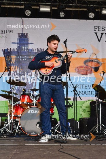 Lendavska trgatev 2015