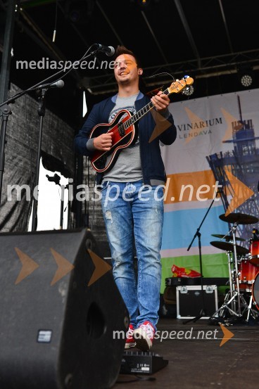  Nikola Bosilj, skupina MejašiLendavska trgatev 2015