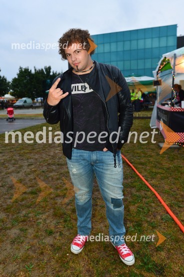 Lendavska trgatev 2015