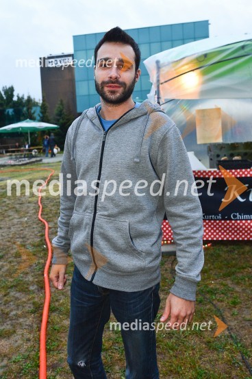 Lendavska trgatev 2015