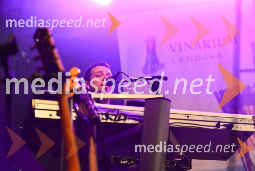 Lendavska trgatev 2015