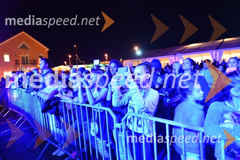 Lendavska trgatev 2015