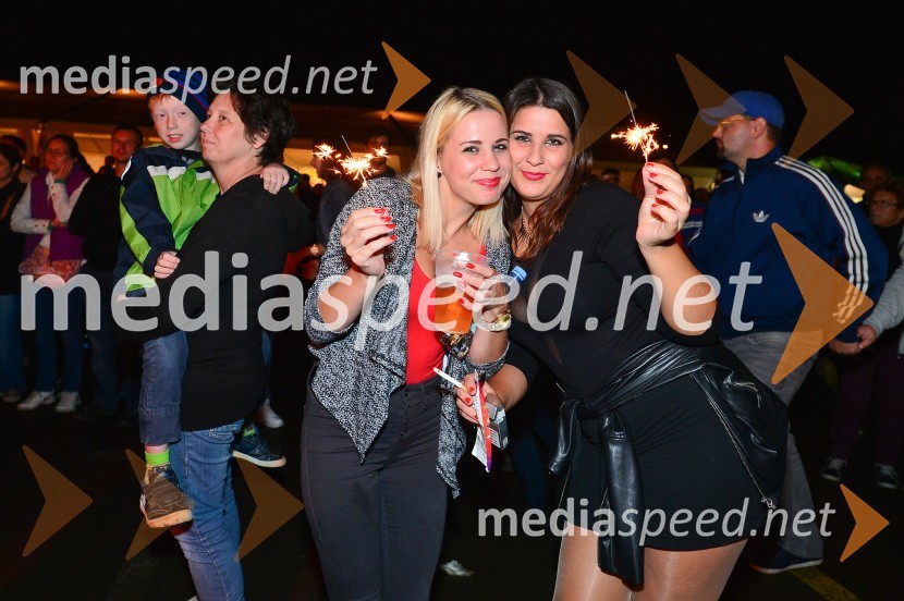 Lendavska trgatev 2015