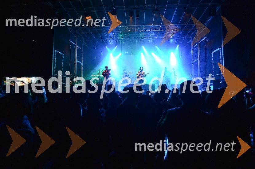 Lendavska trgatev 2015