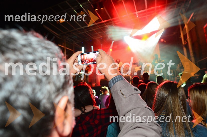 Lendavska trgatev 2015