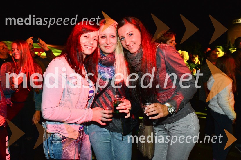 Lendavska trgatev 2015