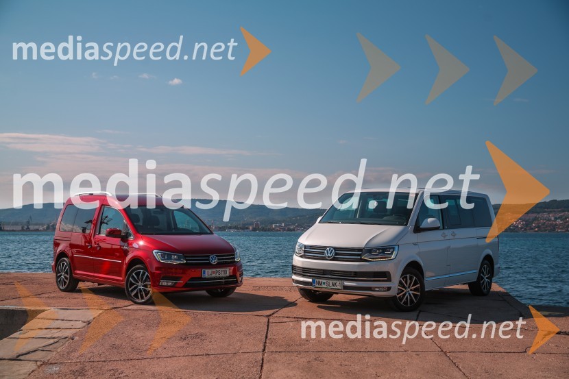 Volkswagen transportna vozila, predstavitev