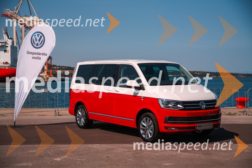 Volkswagen transportna vozila, predstavitev