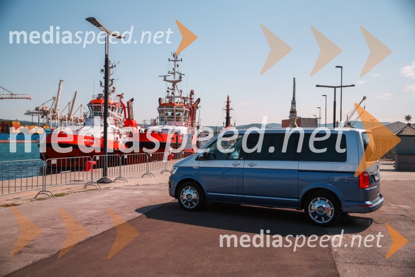 Volkswagen transportna vozila, predstavitev