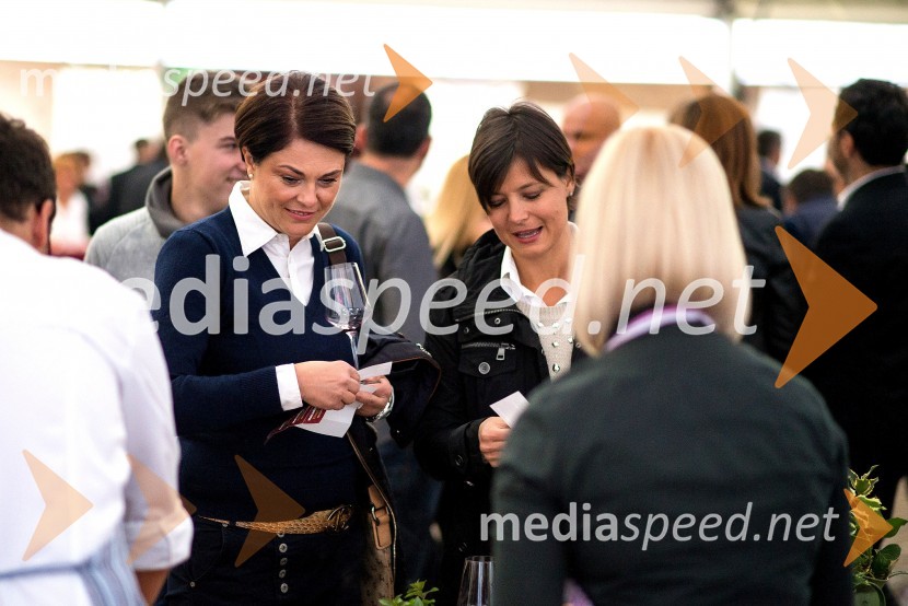 Festival prekmurske šunke in gibanice 2015