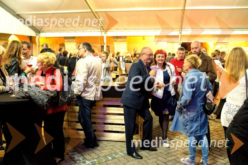 Festival prekmurske šunke in gibanice 2015Festival prekmurske šunke in gibanice 2015