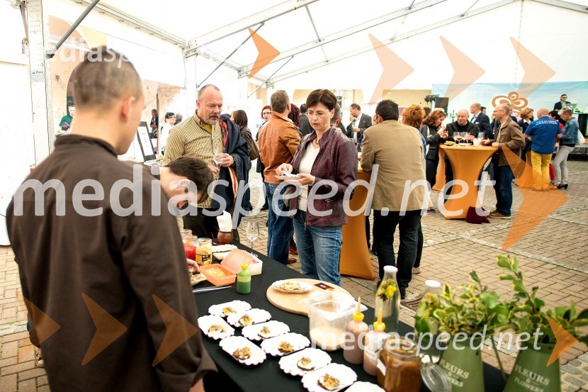 Festival prekmurske šunke in gibanice 2015