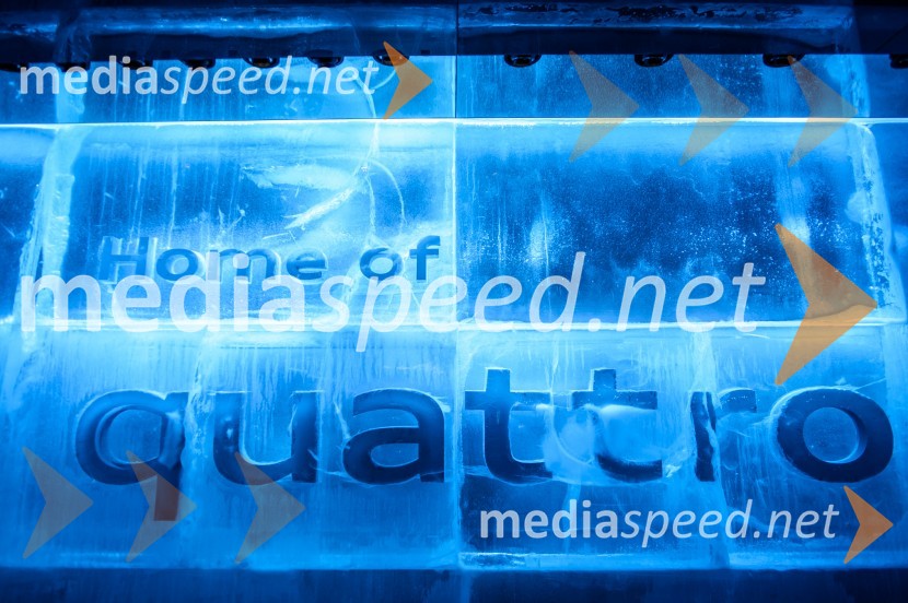 Audi quattroMednarodni avtomobilski salon v Frankfurtu 2015