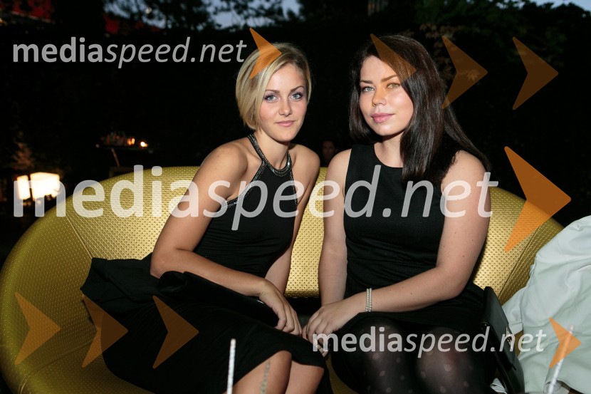  ... ;  Patricija KotnikE-Media, 10 let