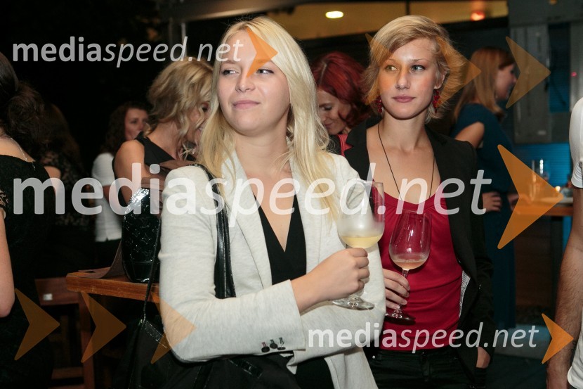  Aleksandra Pleterski;  Eva Kelih, oblikovanje Garden Village BledE-Media, 10 let