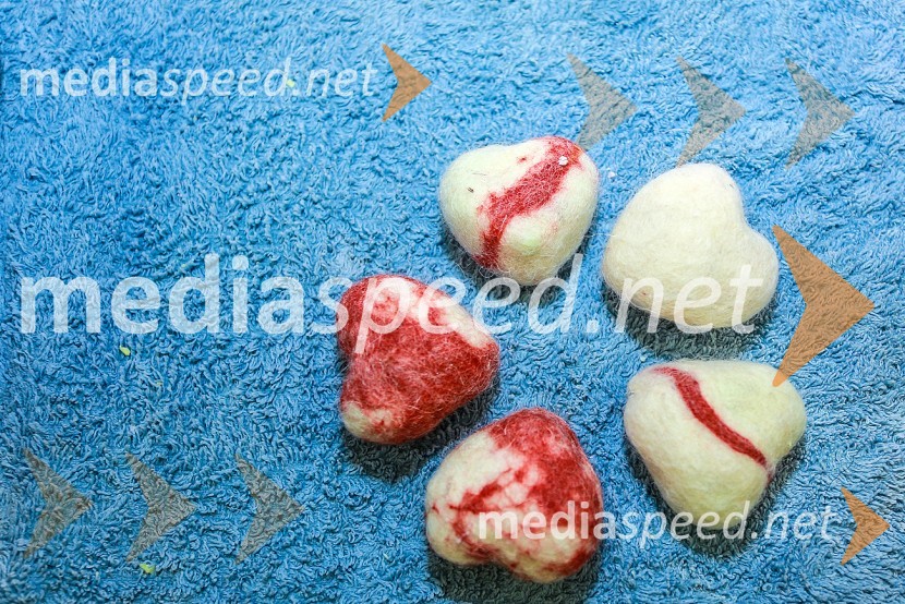 Tradicionalna noč raziskovalcev v EuroparkuTradicionalna noč raziskovalcev v Europarku