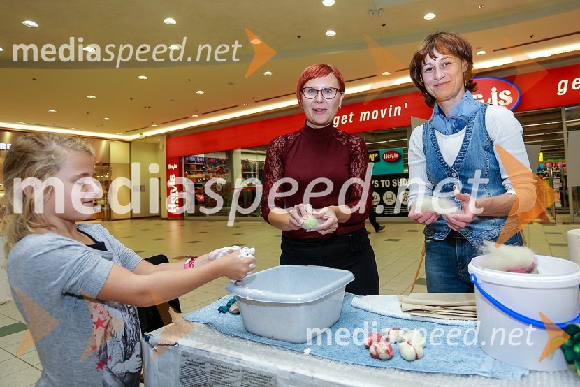 Tradicionalna noč raziskovalcev v Europarku