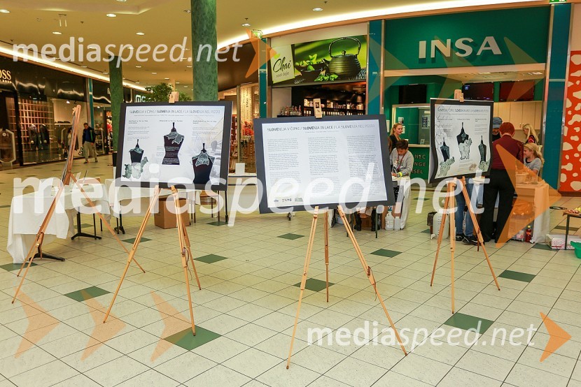 Tradicionalna noč raziskovalcev v EuroparkuTradicionalna noč raziskovalcev v Europarku