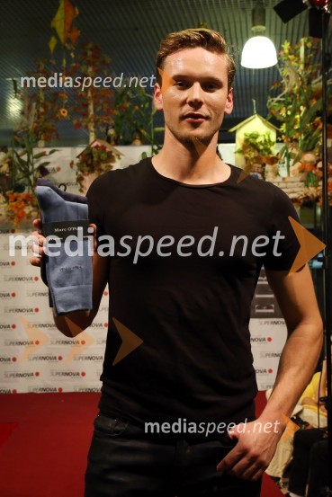 Obraz Supernove 2015 je Klavdija Golja