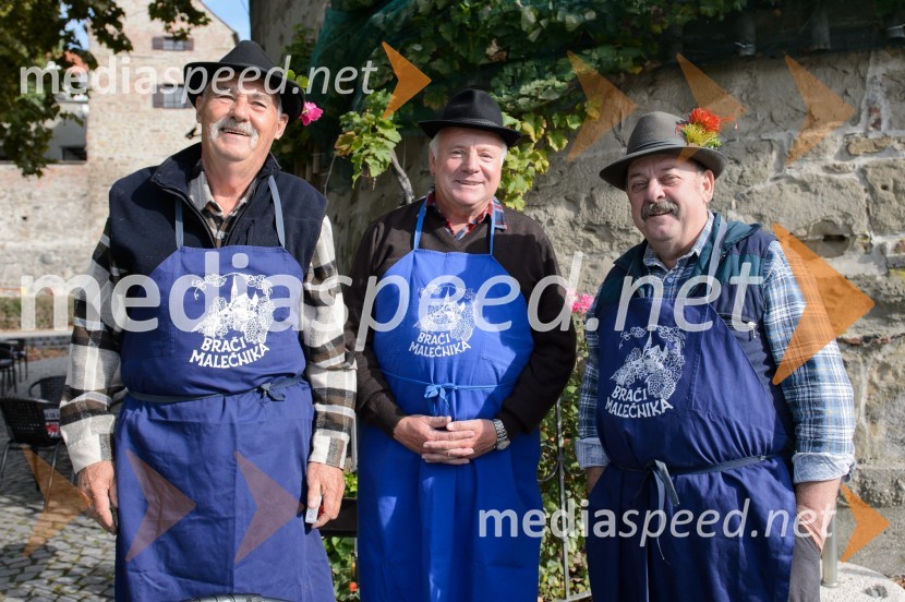 Trgatev Stare trte 2015