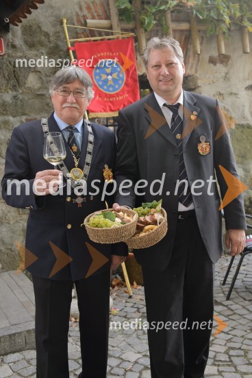 Trgatev Stare trte 2015