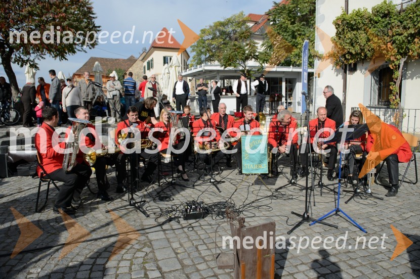 Trgatev Stare trte 2015