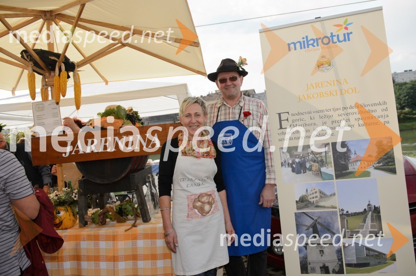 Trgatev Stare trte 2015