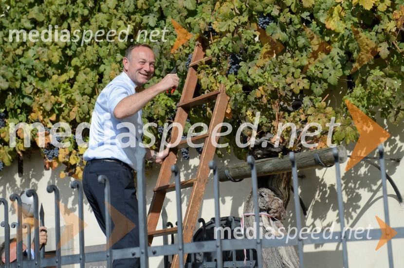  Stane Kocutar,  odgovorni urednik, Radio Maribor, mestni viničar in skrbnik Stare trteTrgatev Stare trte 2015