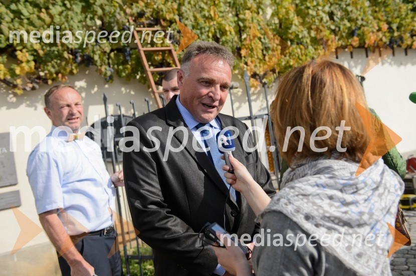 Trgatev Stare trte 2015