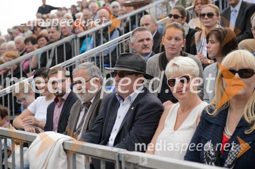  Andrej Špenga, državni sekretar, svetnik MOM, SMC - Stranka Mira Cerarja; prof. dr. Igor Tičar, rektor, Univerza v Mariboru; dr. Andrej Fištravec, župan, Mestna občina Maribor;  Irena Polak Fištravec;  Melita  Petelin, podžupanja MOM, Lista župana Andreja FištravcaTrgatev Stare trte 2015