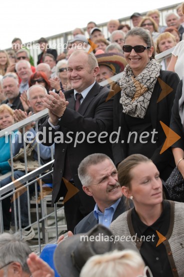 Trgatev Stare trte 2015