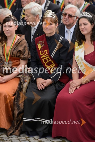 Trgatev Stare trte 2015